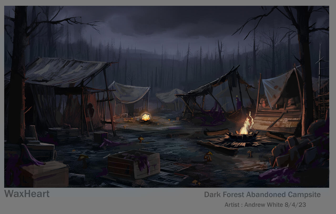 Dark Forest Abandoned Campsite Concept